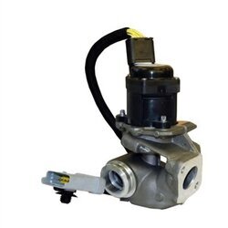 EGR ventil MAGNETI MARELLI 571822112031