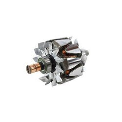 Rotor alternátora MAHLE MGX 876 - obr. 1