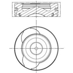 Piest MAHLE 021 PI 00128 000 - obr. 1