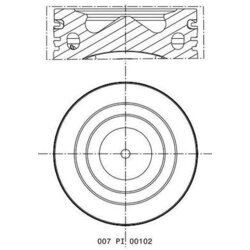 Piest MAHLE 007 PI 00102 001