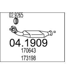 Katalyzátor MTS 04.1909
