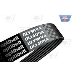 Ozubený klinový remeň OPTIBELT 6 PK 1437 OLYMPIA