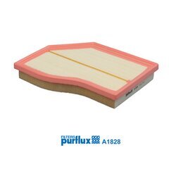 Vzduchový filter PURFLUX A1828