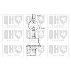 Palivové čerpadlo QUINTON HAZELL QFP113 - obr. 1