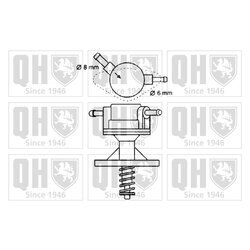Palivové čerpadlo QUINTON HAZELL QFP162 - obr. 1