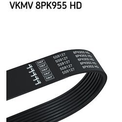 Ozubený klinový remeň SKF VKMV 8PK955 HD