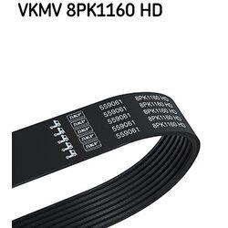 Ozubený klinový remeň SKF VKMV 8PK1160 HD