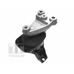 Uloženie motora TEDGUM 00263047