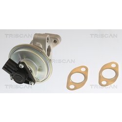 EGR ventil TRISCAN 8813 10054