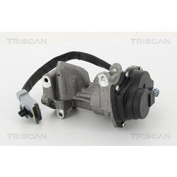 EGR ventil TRISCAN 8813 10202 - obr. 3