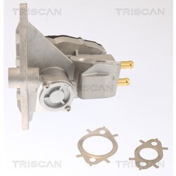 EGR ventil TRISCAN 8813 42002