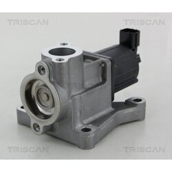 EGR ventil TRISCAN 8813 50015