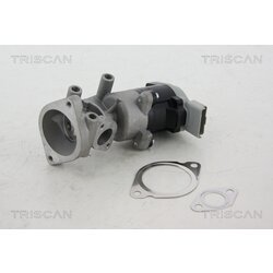 EGR ventil TRISCAN 8813 17008 - obr. 2