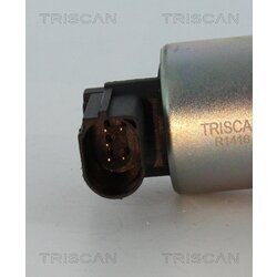 EGR ventil TRISCAN 8813 29045 - obr. 1