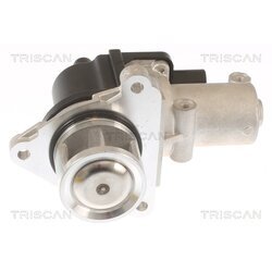 EGR ventil TRISCAN 8813 43010 - obr. 2