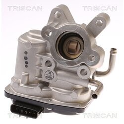 EGR ventil TRISCAN 8813 68001