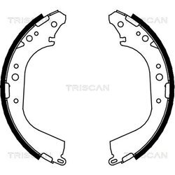 Sada brzdových čeľustí TRISCAN 8100 14565