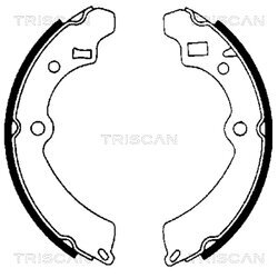 Sada brzdových čeľustí TRISCAN 8100 69521