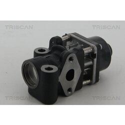 EGR ventil TRISCAN 8813 10013 - obr. 2