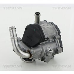 EGR ventil TRISCAN 8813 29069