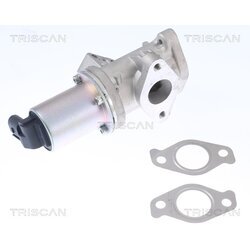 EGR ventil TRISCAN 8813 43024