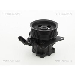 Hydraulické čerpadlo pre riadenie TRISCAN 8515 17616