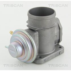 EGR ventil TRISCAN 8813 10101