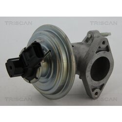 EGR ventil TRISCAN 8813 16043