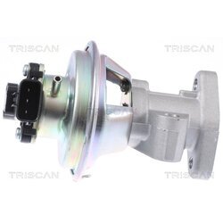 EGR ventil TRISCAN 8813 16069 - obr. 1