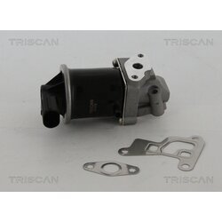 EGR ventil TRISCAN 8813 29100 - obr. 2