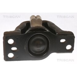 Uloženie motora TRISCAN 8505 14100 - obr. 1