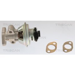 EGR ventil TRISCAN 8813 10054 - obr. 1