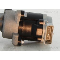 EGR ventil TRISCAN 8813 17008 - obr. 1