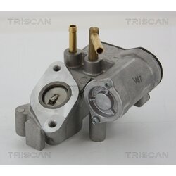 EGR ventil TRISCAN 8813 25018