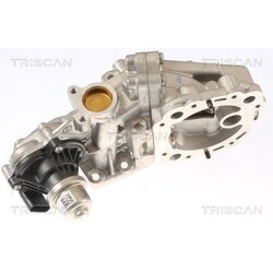 EGR ventil TRISCAN 8813 16001