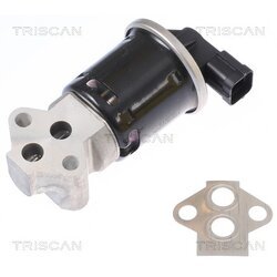 EGR ventil TRISCAN 8813 21008