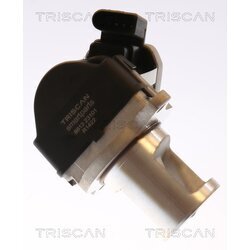 EGR ventil TRISCAN 8813 23101