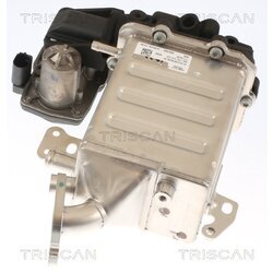 EGR ventil TRISCAN 8813 29005