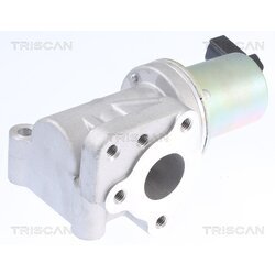 EGR ventil TRISCAN 8813 43015