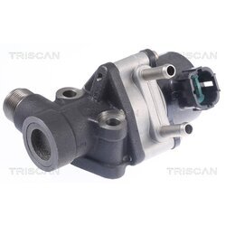 EGR ventil TRISCAN 8813 14026