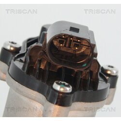 EGR ventil TRISCAN 8813 16151 - obr. 1