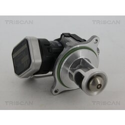 EGR ventil TRISCAN 8813 23004