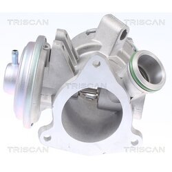 EGR ventil TRISCAN 8813 23032 - obr. 1