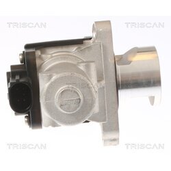 EGR ventil TRISCAN 8813 43010 - obr. 1