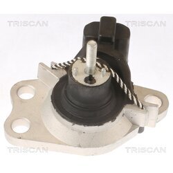 Uloženie motora TRISCAN 8505 25100 - obr. 1