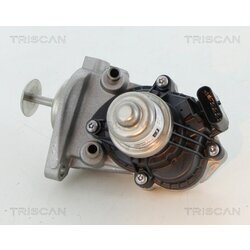 EGR ventil TRISCAN 8813 11007 - obr. 1