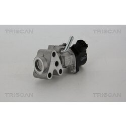 EGR ventil TRISCAN 8813 13028