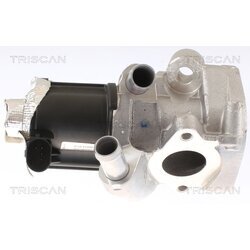 EGR ventil TRISCAN 8813 14006 - obr. 1