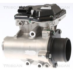 EGR ventil TRISCAN 8813 16002 - obr. 2