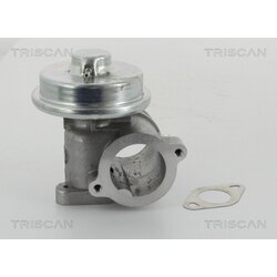 EGR ventil TRISCAN 8813 16010 - obr. 1